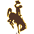 Wyoming logo